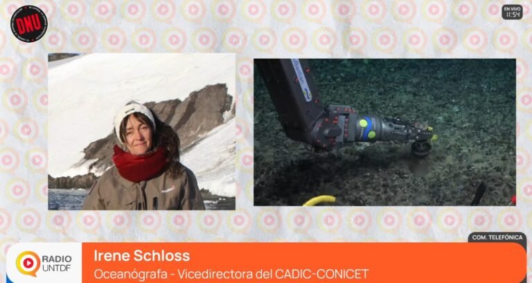 Irene Schloss en DNU: «Destruir este sistema es rápido; reconstruirlo, llevará décadas»