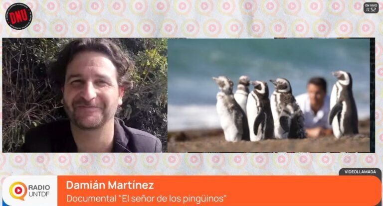 «El Señor de los Pingüinos»: un viaje audiovisual que une ciencia, naturaleza y vocaciones